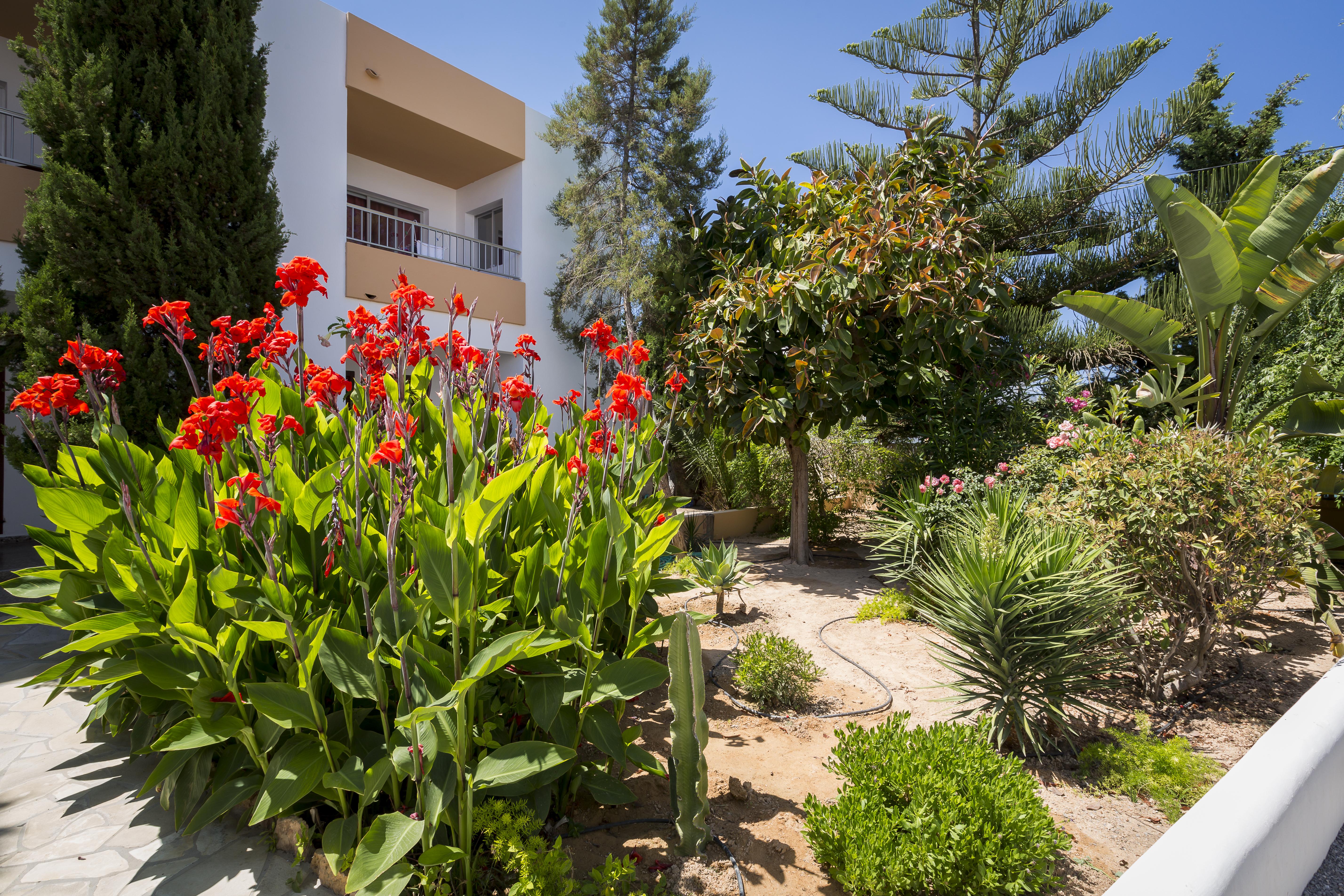Apartamentos Zodiac San Antonio (Ibiza) Exterior foto