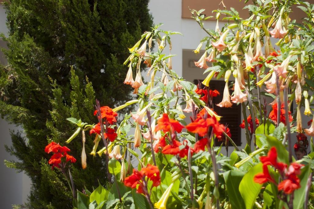 Apartamentos Zodiac San Antonio (Ibiza) Exterior foto